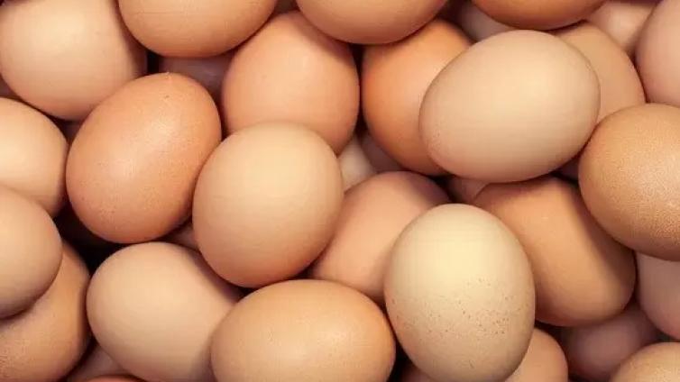 鸡蛋只能放10天？！家里食物的存放寿命，一定要记住！